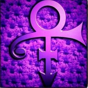 Meet your Posher, George